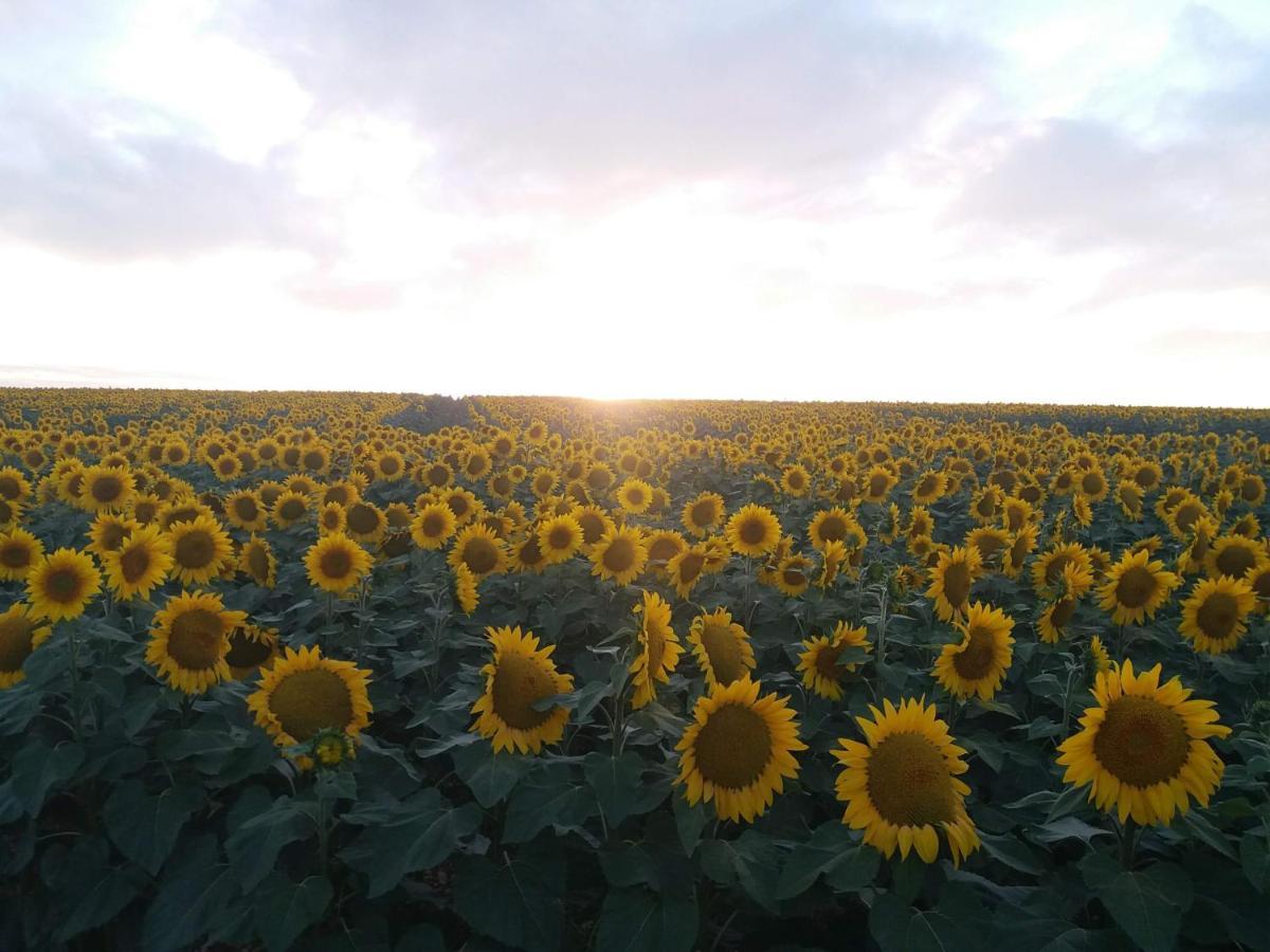 La Pommeraie Nantillé 외부 사진